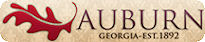 City of Auburn